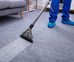 How are professional carpet cleaning services a necessity?